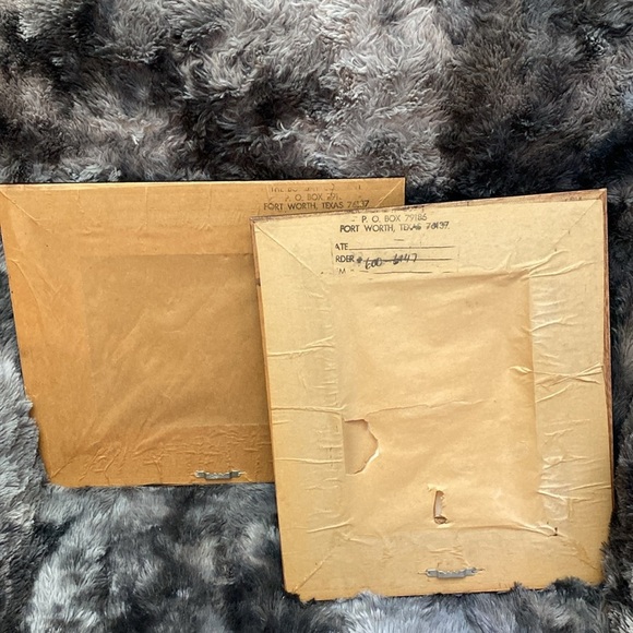 2 Miss Meka Cat Picture Paul Stagg The Bombay Company Stephanie Hoppen - Picture 16 of 16